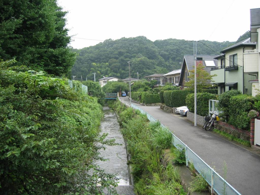 gal/Autour de Tokyo/Kamakura/105_0504.jpg
